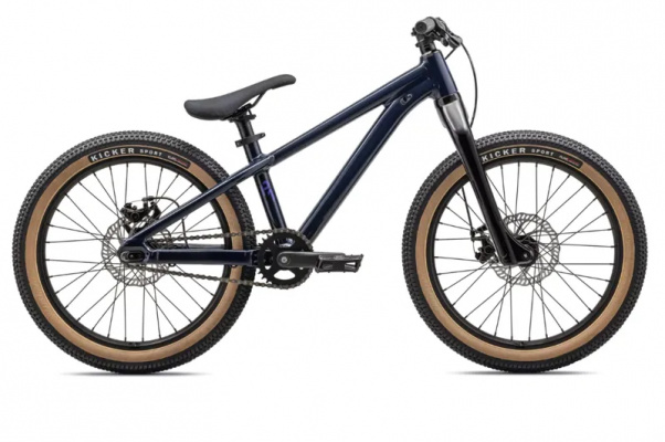 Specialized P.1 Series Dirt Jump Bike