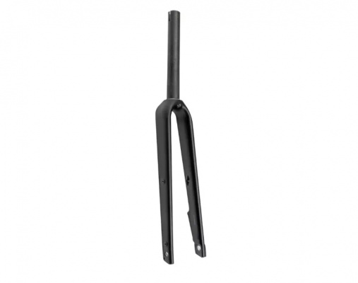 Specialized S212300024 MY22 Future Shock G1.1 700c TA Carbon Fork 12x100mm
