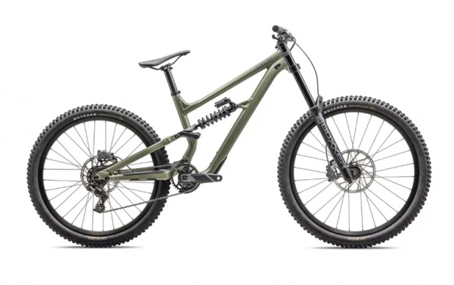 Specialized Status 2 170 DH Mountain Bike