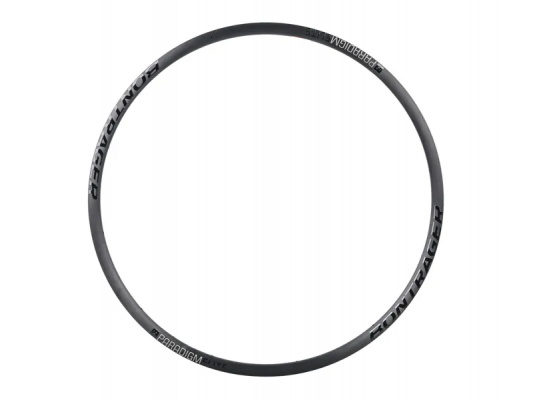 Bontrager Paradigm Elite Disc 700C 24H Rim in Grey