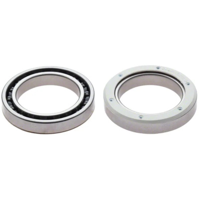Campagnolo Ultra-Torque Bearings in Silver