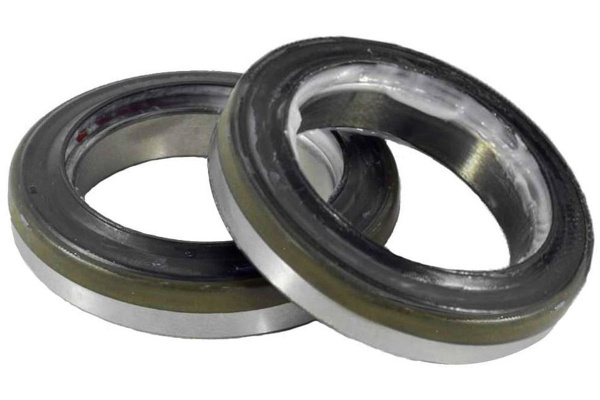 Campag Super Record 12S Wireless Crank Bearings