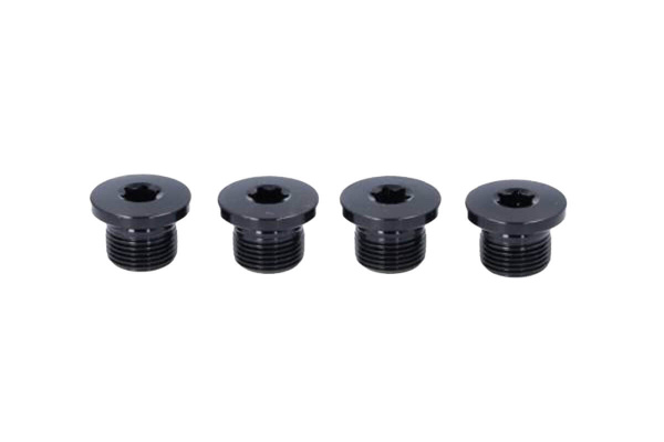 Campagnolo Ekar GT Crankset Screws - Set of 4