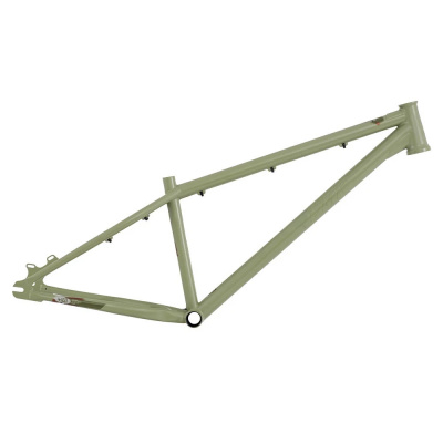 DMR - Frame - Sect 26 Custom - Pistachio Green