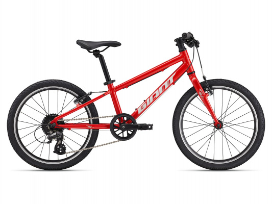 Giant ARX 20 Kids Bike Phoenix Fire