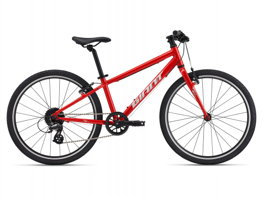 Giant ARX 24 Kids Bike Phoenix Fire