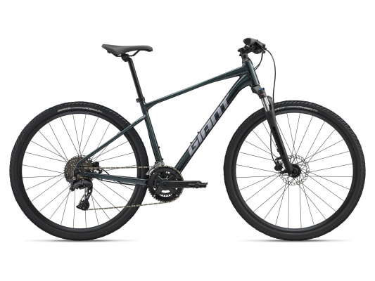 Giant Roam 2