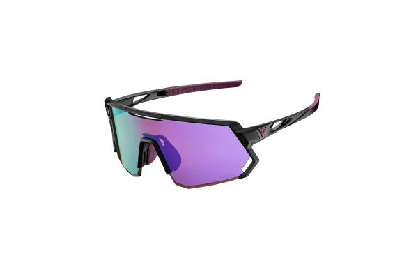 Liv Aurea Sunglasses Black