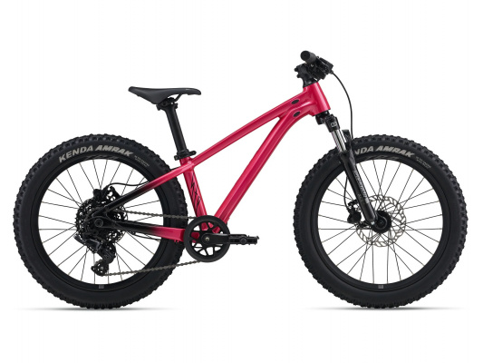 Liv STP 20 FS Kids Bike