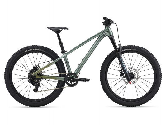 Liv STP 24 Kids Bike
