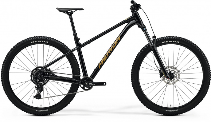Merida Big Trail 300 - Black (Brown) - MY26