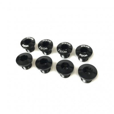 Praxis Works SPARE - X-Ring Bolts