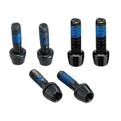 Ritchey WCS C220 & Toyon Stem Replacement Bolt Set