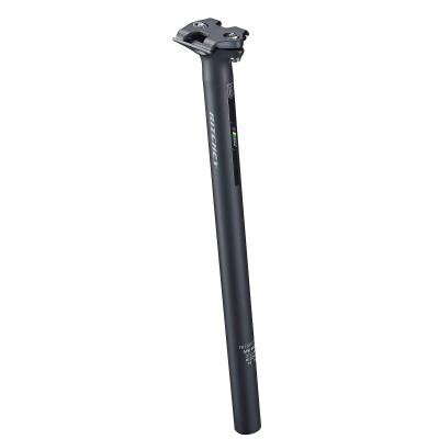 Ritchey WCS Zero Seatpost BLATTE / 400MM X 27.2MM