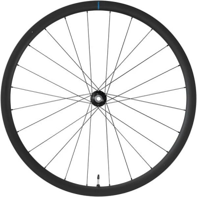 Shimano GRX WH-RX880 GRX 700C wheel, 12x100mm E-thru, Center Lock disc, front