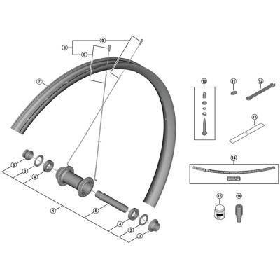 Shimano Spares WH-M8200-TL-F15-B-29 spoke and nipple