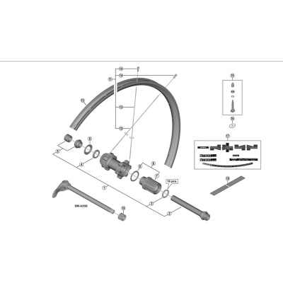 Shimano Spares WH-MT600-TL-R12-B-29 right hand spoke