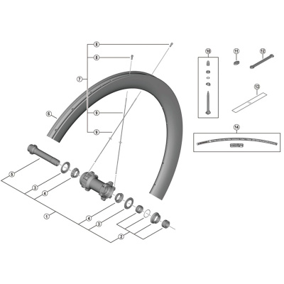 Shimano Spares WH-R8170-C50-TL-F spoke, 272 mm