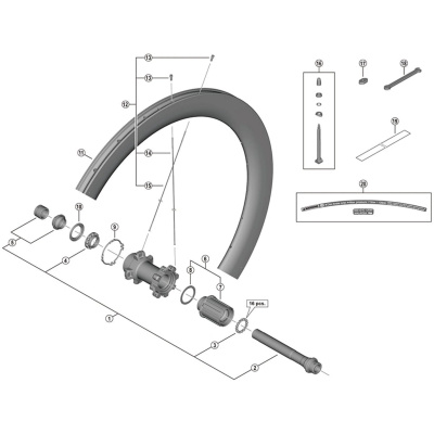 Shimano Spares WH-R8170-C60-TL-R left hand spoke, 244 mm