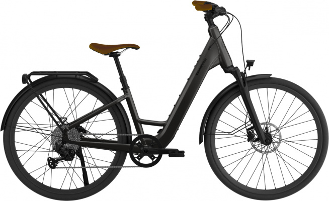 Cannondale Mavaro Neo SL 1