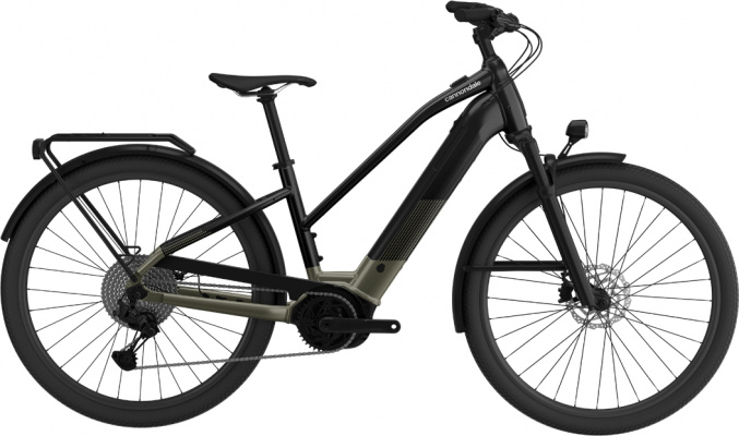 Cannondale Tesoro Neo X 2 StepThru