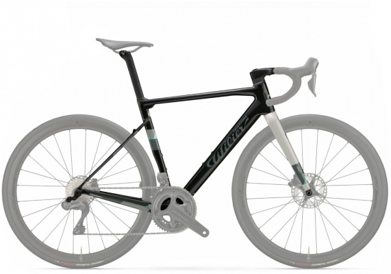 Wilier 2025 Rave SL Frameset
