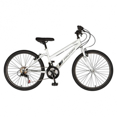 Falcon Cycles Falcon Aurora G24 Junior Mountain Bike