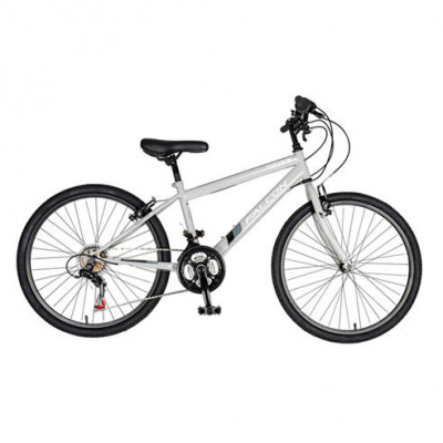 Falcon Cycles Falcon Cyclone 24 Junior Mountain Bike