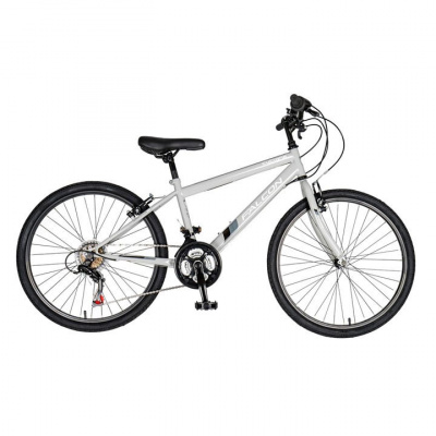 Falcon Cycles Falcon Cyclone 24 Junior Mountain Bike