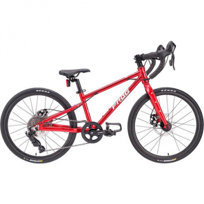 Frog Road 53 - 20 Inch Kids Bike