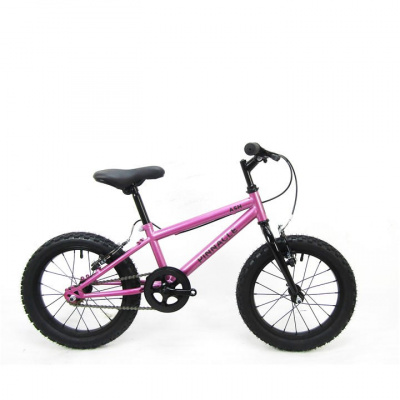 Pinnacle Ash 16 inch Bike Juniors