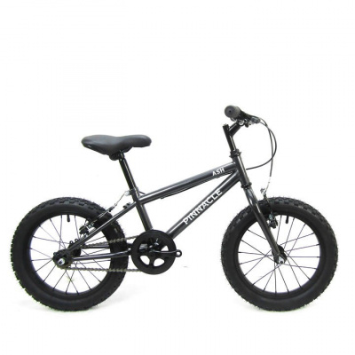 Pinnacle Ash 16 inch Kids Bike