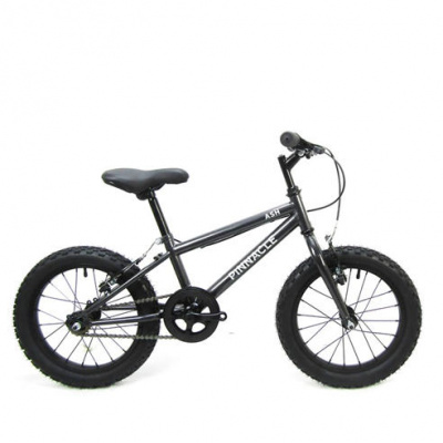 Pinnacle Ash 16 inch Kids Bike