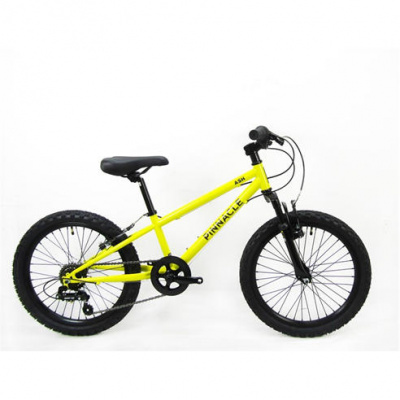 Pinnacle Ash 20 inch Bike Junior