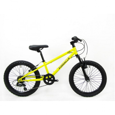 Pinnacle Ash 20 inch Bike Junior