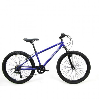 Pinnacle Ash 24 inch Bike Junior
