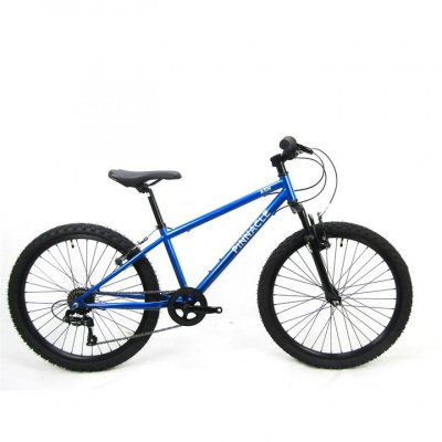 Pinnacle Ash 24 inch Bike Junior