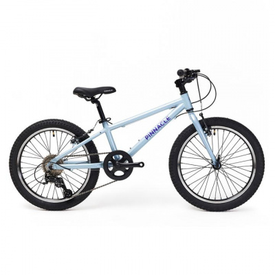 Pinnacle Aspen 20 Inch Kids Bike