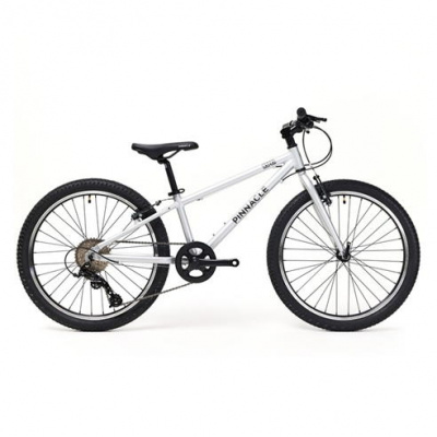 Pinnacle Aspen 24 inch Bike Junior