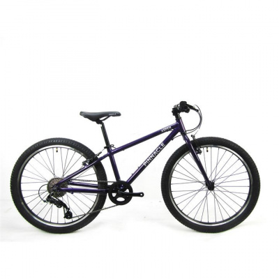 Pinnacle Aspen 26 Inch Bike Junior