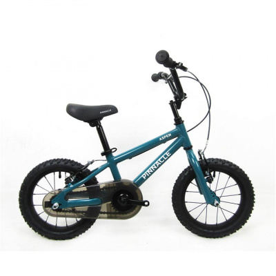 Pinnacle Pinnacle Aspen 14 Wheel Childs Bike