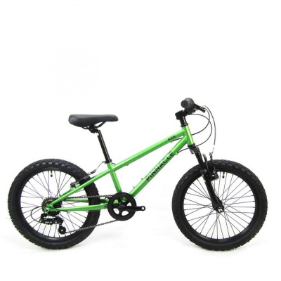 Pinnacle Trail 20 inch Bike Junior
