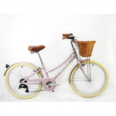 Universal Alloy 24 inch Kids Bike