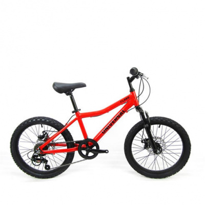 Universal Flare 20 Inch Kids Mountain Bike