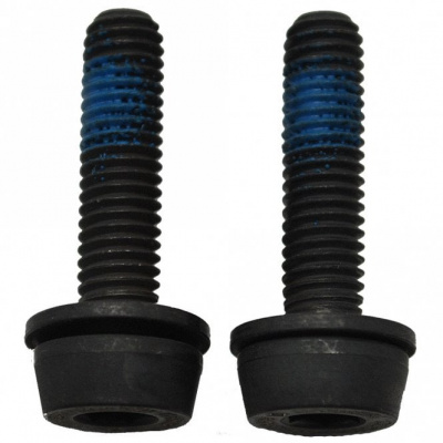 Campagnolo Flat Mount Rear Caliper Bolts 35-39 mm Screws x2 - 44 mm