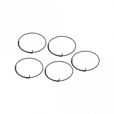 Campagnolo Spares Wrap Round Freehub Springs (5PCS) - FH-RE114