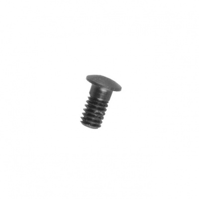 Campagnolo Zonda Magnetic Nipple Screw - 2013