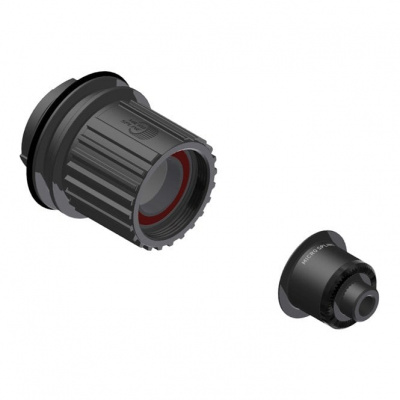 DT Swiss Pawl Freehub Conversion Kit - 12-speed - 135 mm QR - Shimano Micro Spline