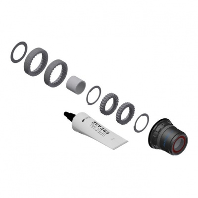 DT Swiss Ratchet LN Conversion Kit for 3-pawl Hubs - MTB - 18-tooth - Hybrid Steel - SRAM XD