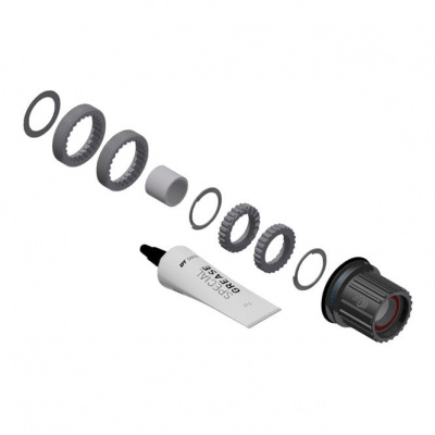 DT Swiss Ratchet LN Conversion Kit for 3-pawl Hubs - MTB - 18-tooth - Hybrid Steel - Shimano Micro Spline